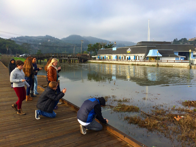 MSEL students photograph King Tides in Tam Junction