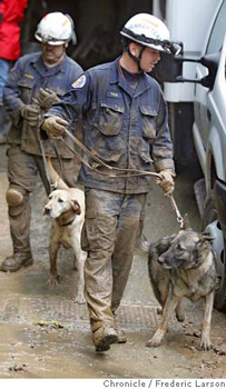 Canine rescue unit working on a mudslide rescue.