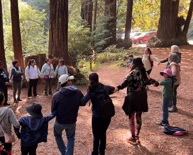 Kids hold hands as they stand in a large circle among large redwood trees during an educational outing.