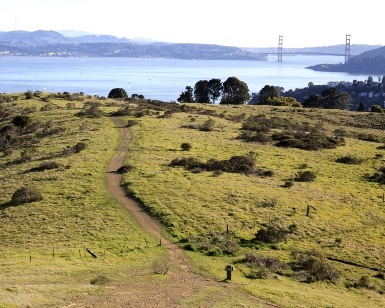 The property at Easton Point on the Tiburon Peninsula, with San Francisco Bay and the Golden Gate Bridge in the distance.