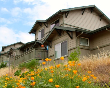 A view of a Marin home with poppies in the foreground.