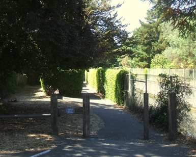 The south end of the Corte Madera Creek Multiuse Pathway.