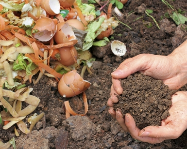 Hands holding dirt with compost ingredients beneath them