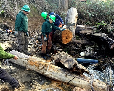 Several workers wearing hard hats work to clear a creekbed of large logs