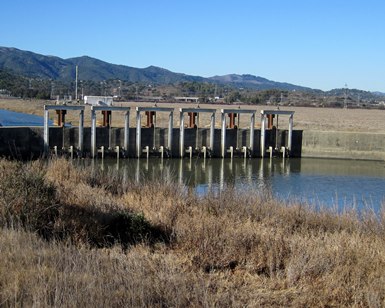 Flood gates on Pacheco Pond, with marshland in foreground and Novato hills in background.