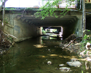 A water-level view underneath a bridge that spans San Anselmo Creek, showing how the bridge and the structure above it impedes flow of water.