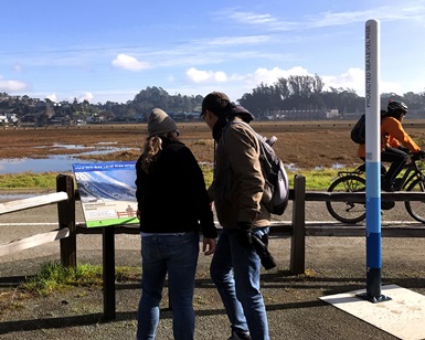 A woman and man read information about sea level rise along a path adjacent to Bothin Marin. A pole showing projected sea level rise is next to them.