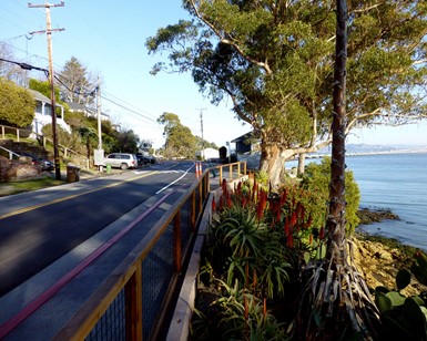 A view of the new sidewalk along Main Street in San Quentin Village, with homes and the road on the left and the bay on the right.