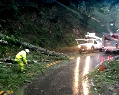 A roads crew clears fallen trees from a West Marin road.