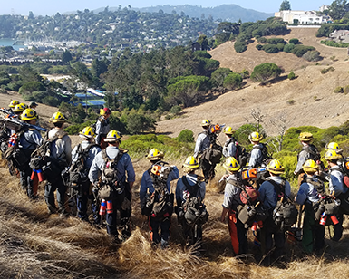 A crew of 16 fire fighters in fire hats and gear overlook a Marin hillside just prior to conducting vegetation management efforts of cutting, chipping, removing, and burning hazardous vegetation using chainsaws, chippers, masticators and other specialized equipment.