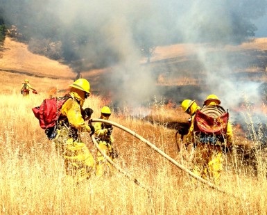 Firefighters spray water on tall dry grass during a training exercise.