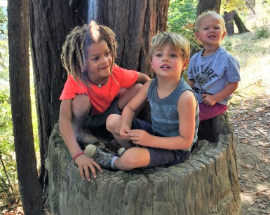 Three young boys sit on a tree stump in Roys Redwoods Open Space Preserve.