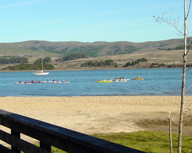 A view of Chicken Ranch Beach, with sand in the foreground and kayakers in the water in the distance.