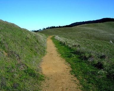 An inclusive and accessible trail is shown on the slope of Mount Tamalpais.