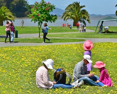 A family enjoys a picnic on the grass at McNears Beach Park near San Rafael as others walk behind them.