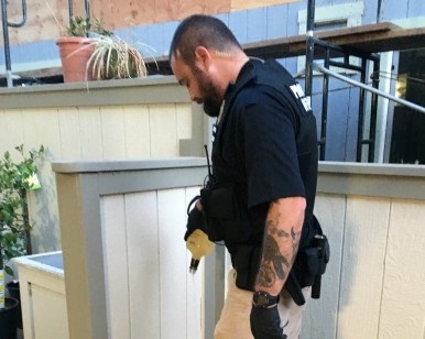 A Probation officer dumps out a bottle of liquor onto dirt outside a home.