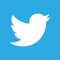 Twitter Logo Icon
