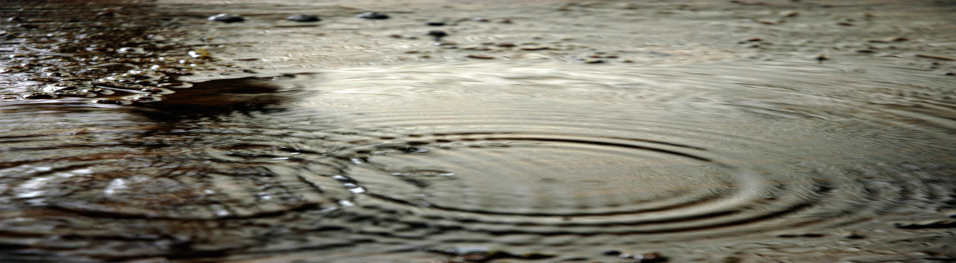 Raindrops in puddle