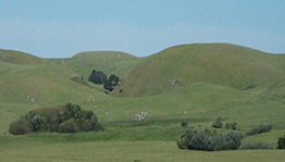 California Hills