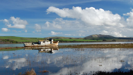 Third Place Winner - The Point Reyes Porrata