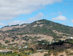 City of Novato