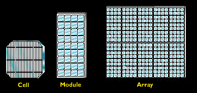 Cell Module Array