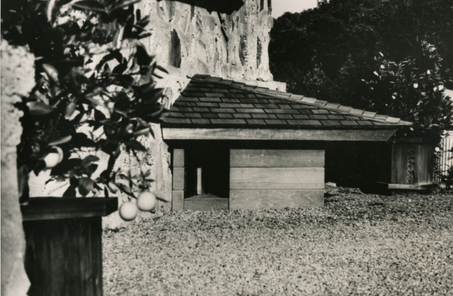 A picture of the original doghouse