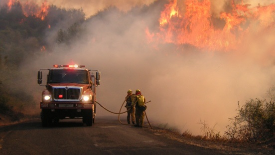 Fighting a wildfire in trees