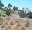 A house on a hill with 100 feet of cleared area around it.