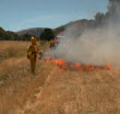 Firefighters working on a controlled burn.