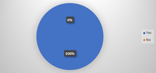 Pie Chart - 100% Yes, 0% No