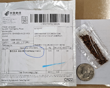 A closeup view of a mailed package from China and seeds wrapped in a small plastic bag.