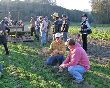 Two men kneel down in a vegetable field and talk about alternative strategies for managing weeds as several other people stand up near them.