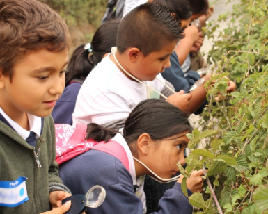 Several kids on a field trip take a closeup look at vegetation growing along a trail.