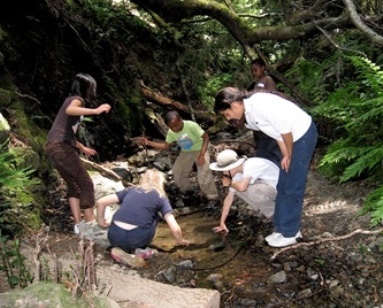 Several children kneel down to take a close look at water in a creek.