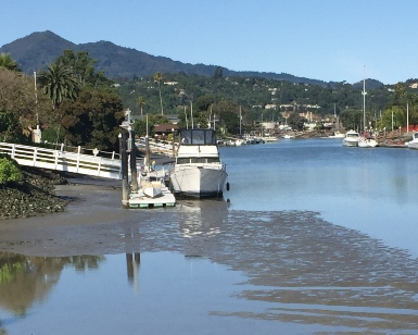 A boat sits in the San Rafael Canal at low tide, showing very little water.