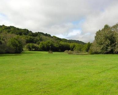 A view of Grady Ranch, looking at an open pasture in the foreground and trees in the background.