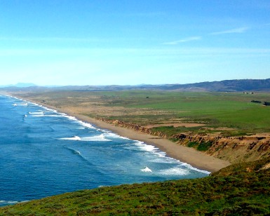 A view of Point Reyes Beach