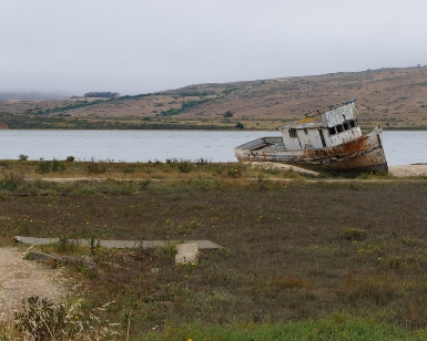 A view of a shipwrecked boat and surrounding nature at Cypress Point on Tomales Bay.