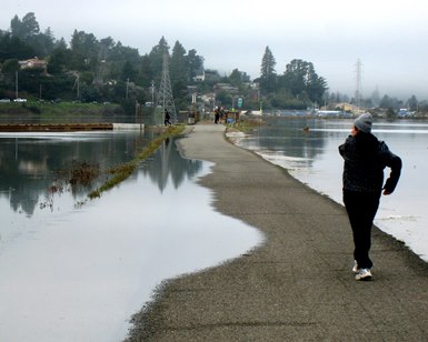 A pedestrian walks on a flooded paved pathway near the bay.