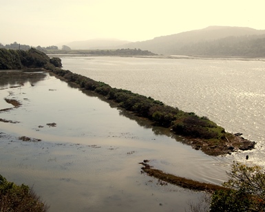 A view from a hill looking down on southern Tomales Bay depicting how a king tide has breeched a levee.
