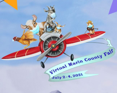 An artistic graphic showing cartoon farm animals flying an antique plane with a banner saying Virtual Marin County Fair July 2-4