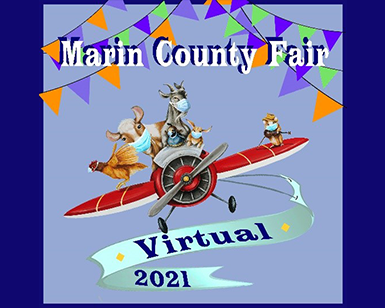 Virtual Fair Logo