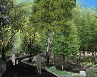 An architectural artist's rendering of Frederick Allen Park improvements with images of people walking and riding a bike on a paved pathway through trees. 