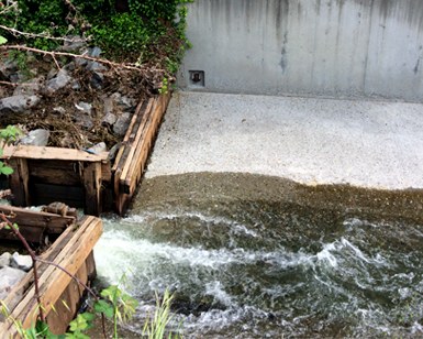 A fish ladder on Corte Madera Creek his shown blocking water flow, causing a backup of water.