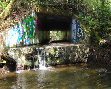 A "before" photo of the fish passage culvert on San Geronimo Creek in Woodacre.