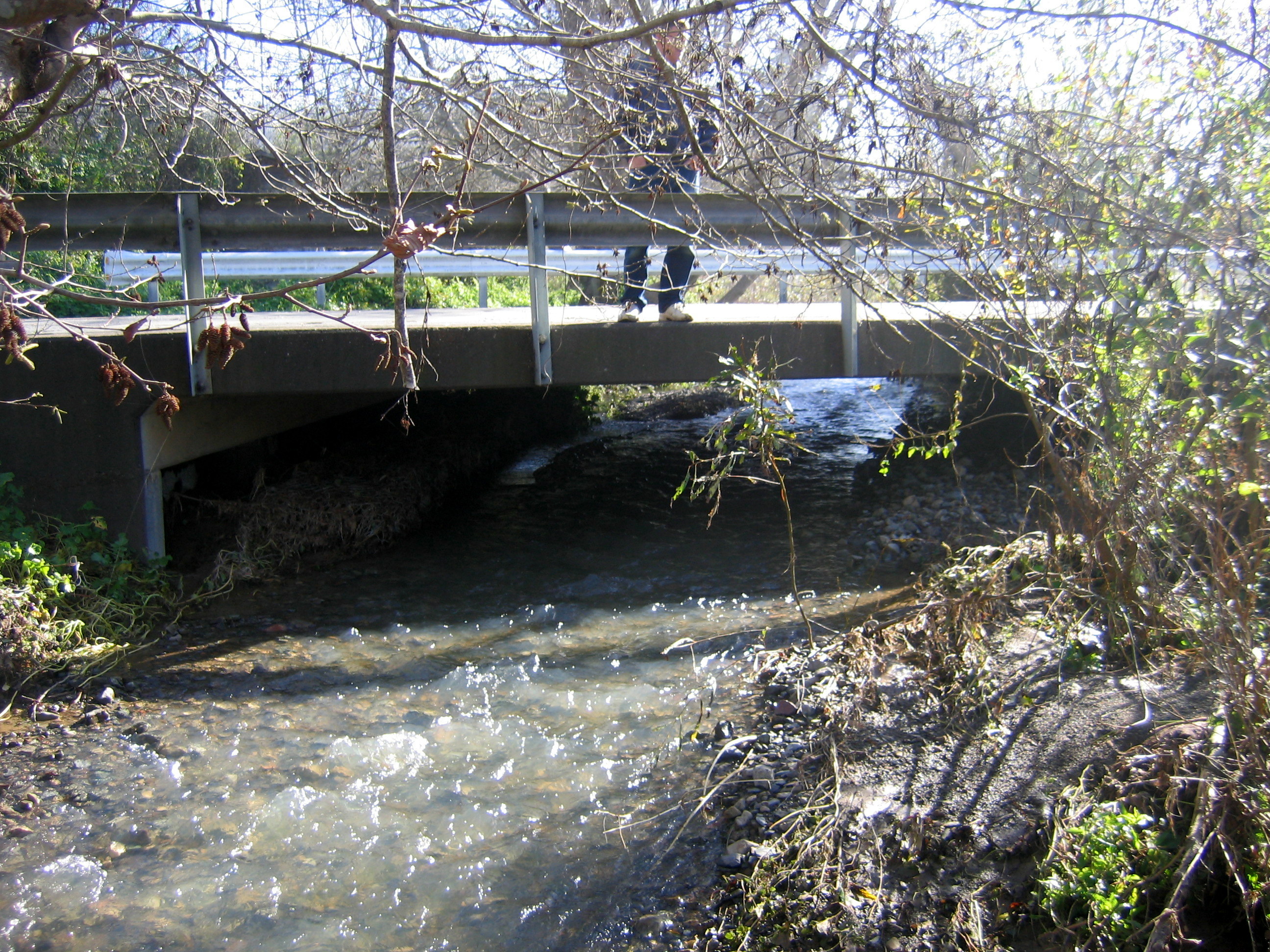 An archive photo of flood waters rising under a footbridge on Easkoot Creek in Stinson Beach.