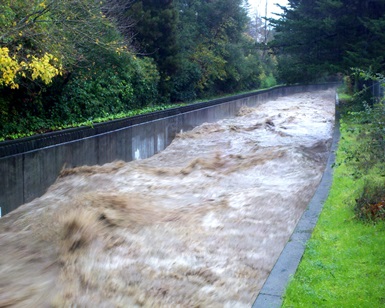 An archive photo of flooding in a concrete channel in Ross Valley.
