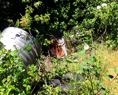 Debris is showing in a creek.