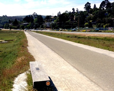 A view of the Mill Valley-Sausalito Mulituse Pathway with a bench in the foreground